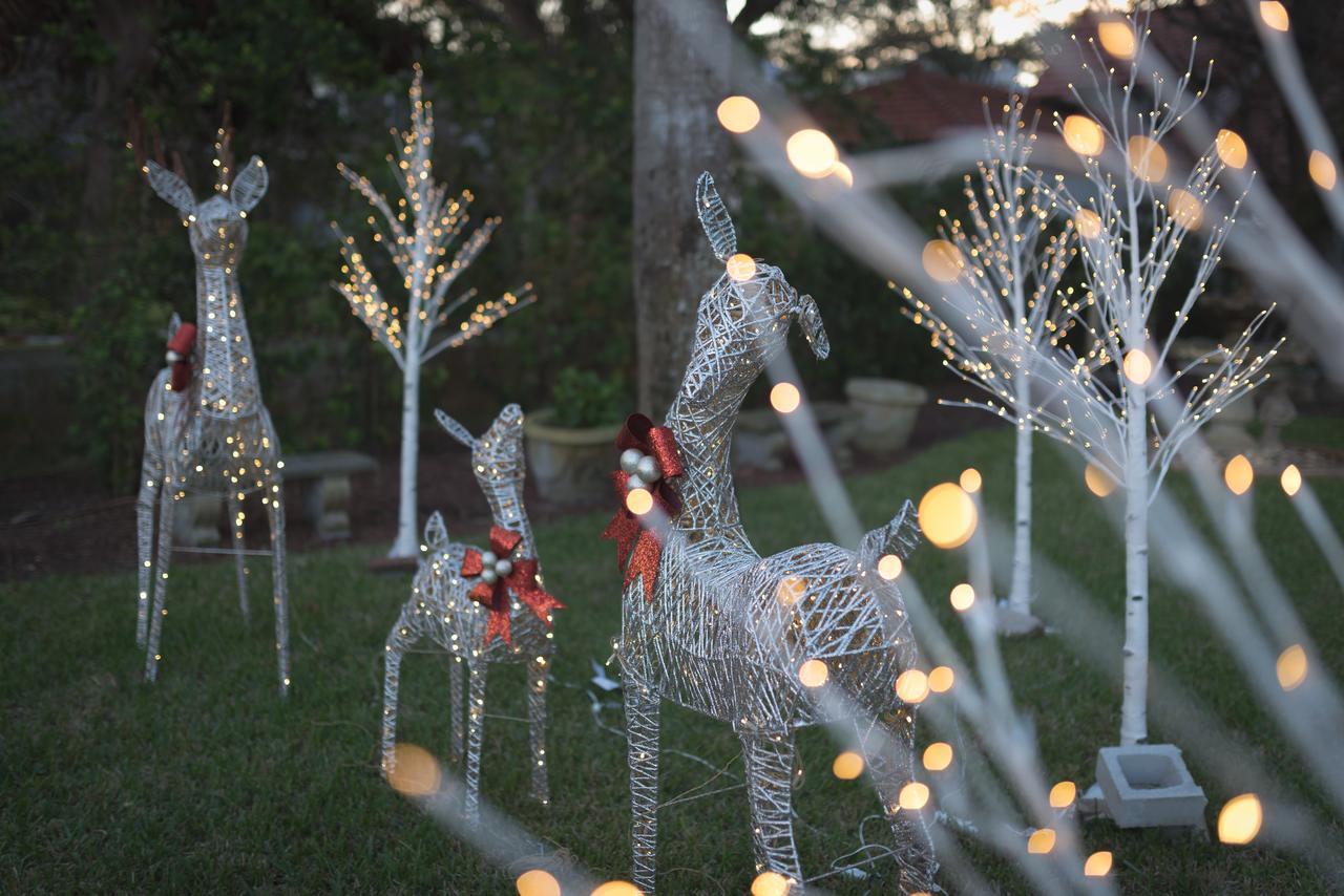 Bayfront Westcott House Bed & Breakfast St. Augustine Eksteriør bilde